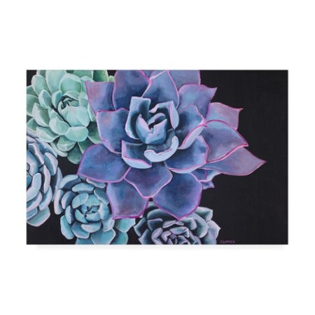 Trademark Fine Art Alana Clumeck 'Abundance Plants' Canvas Art, 12x19 IC00417-C1219GG